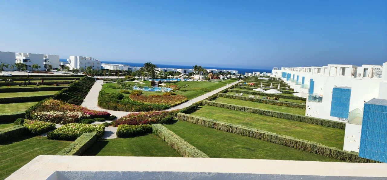 WhatsApp-Image-2025-12-25-at-1.05.07-PM