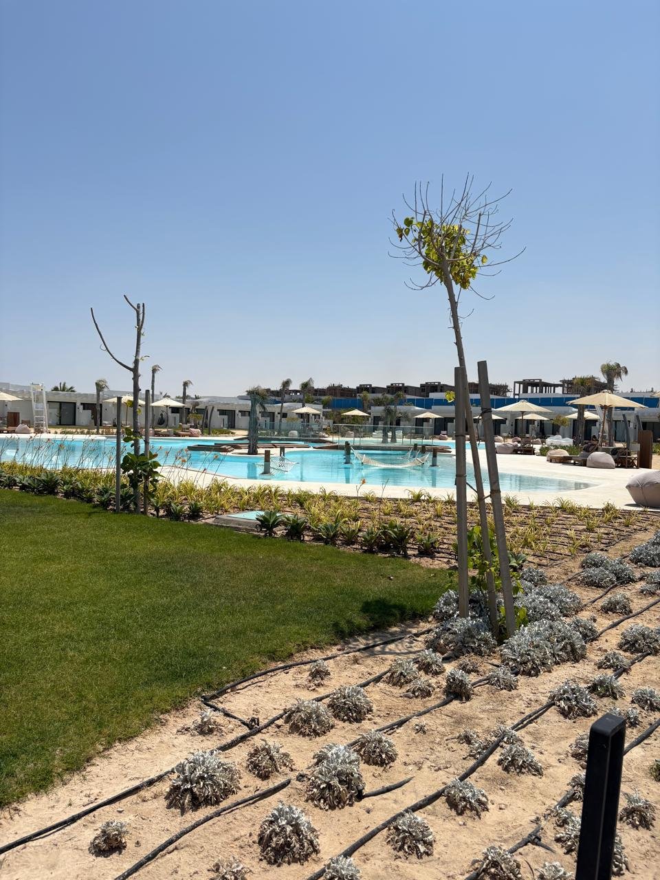 240 sqm Twin House with Garden and 4 Bedrooms in D-BAY